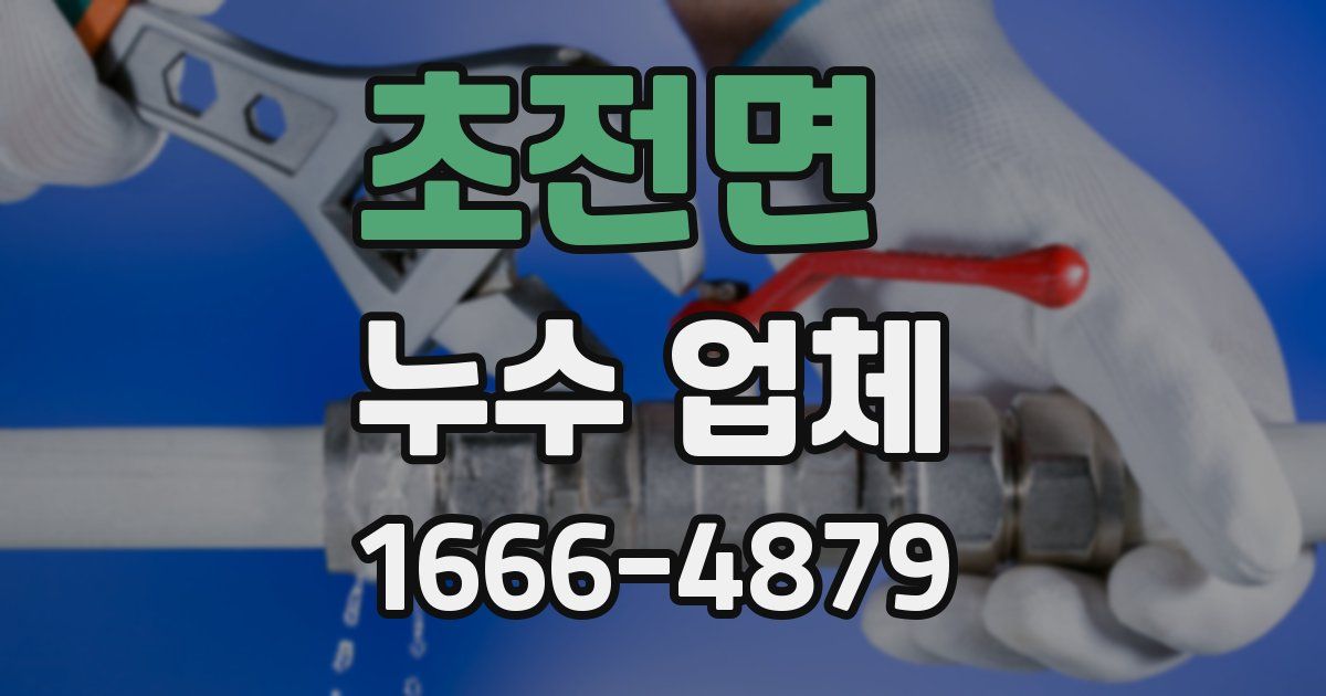 초전면 누수 업체