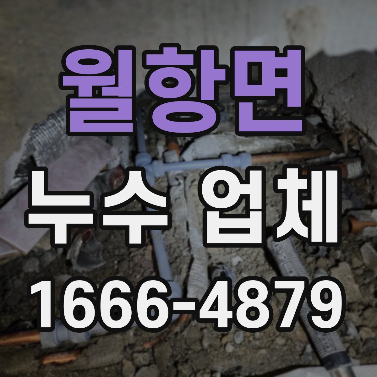 월항면 누수 업체