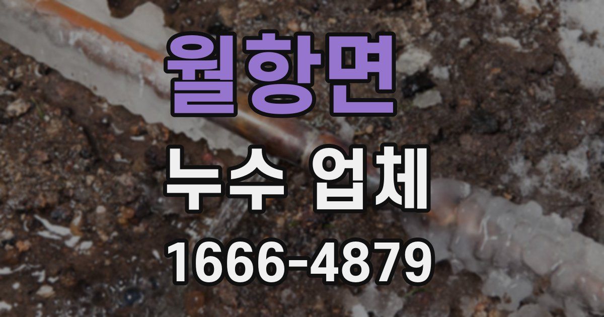 월항면 누수 업체