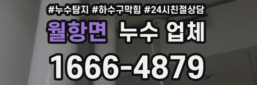 월항면 누수 업체
