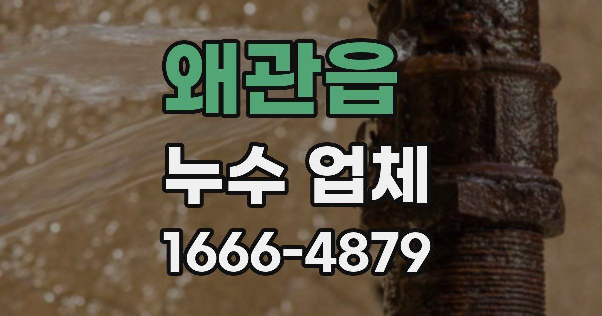 왜관읍 누수 업체