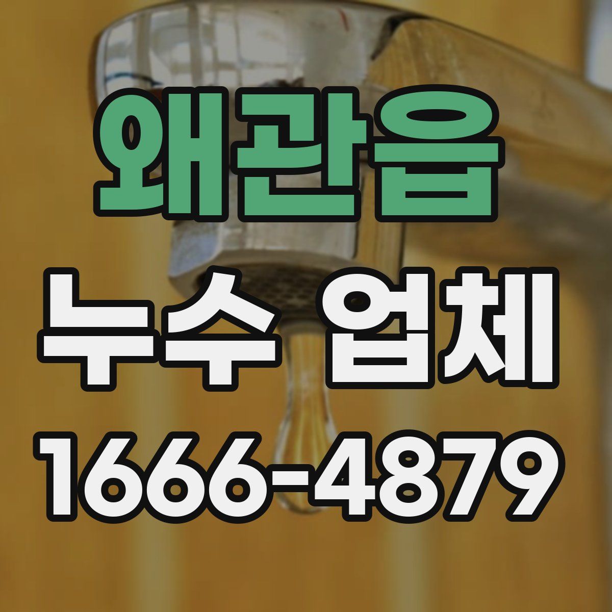 왜관읍 누수 업체