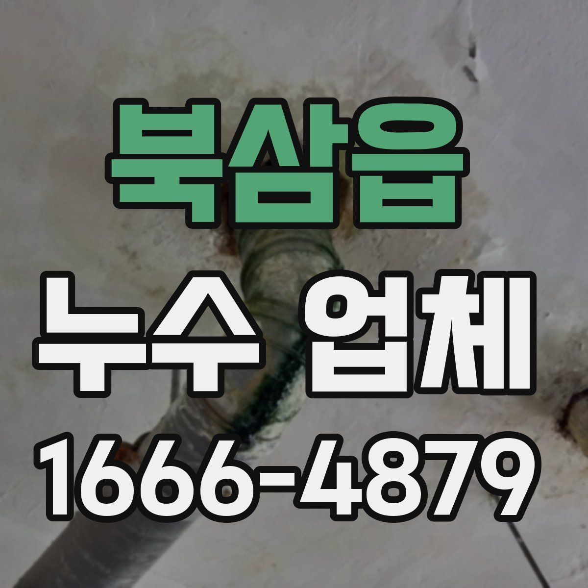 북삼읍 누수 업체