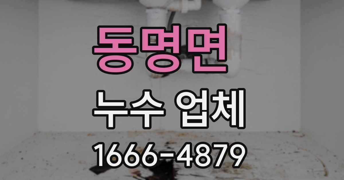 동명면 누수 업체