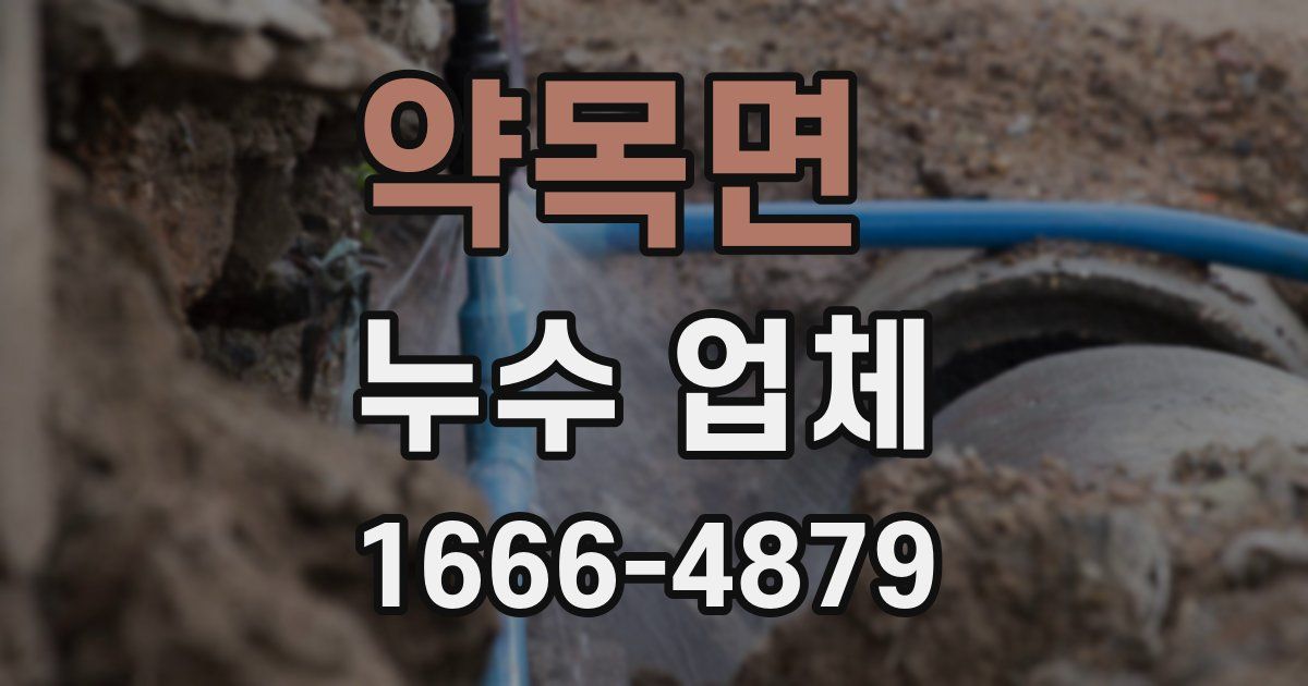 약목면 누수 업체