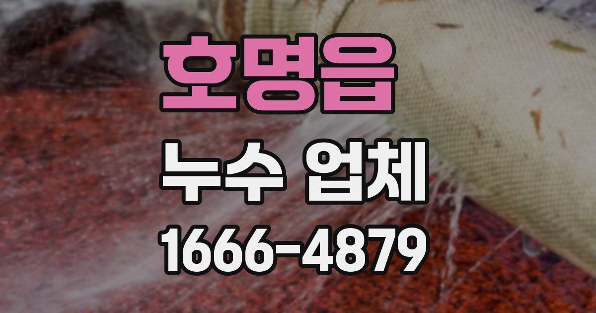 호명읍 누수 업체