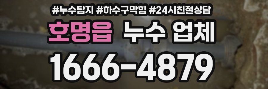호명읍 누수 업체