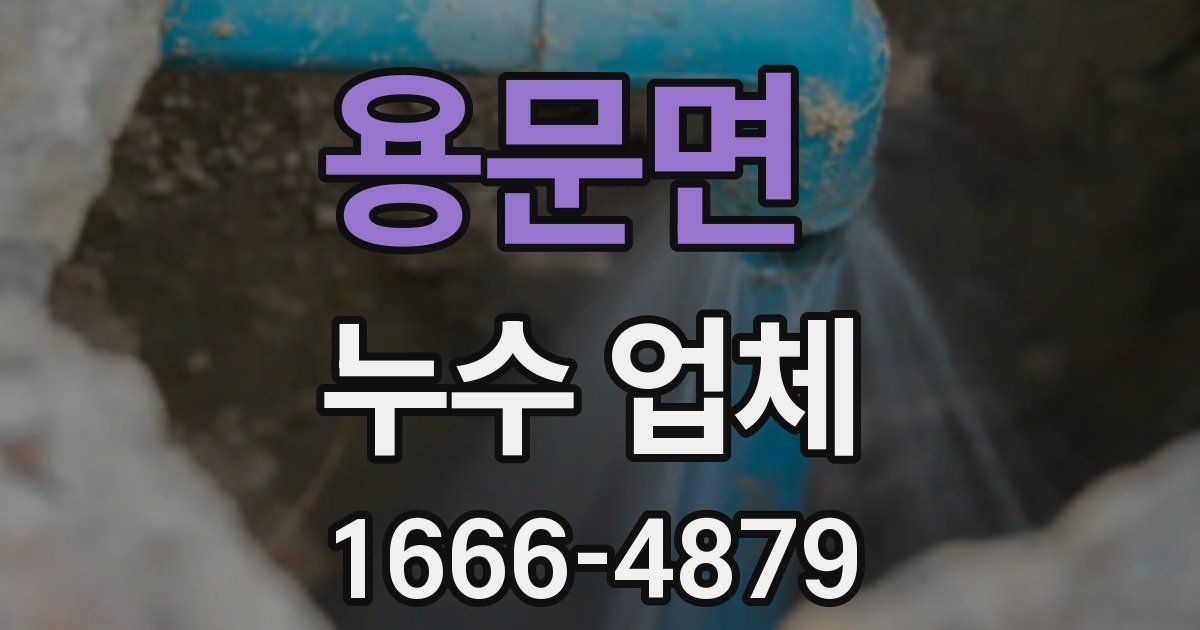 용문면 누수 업체