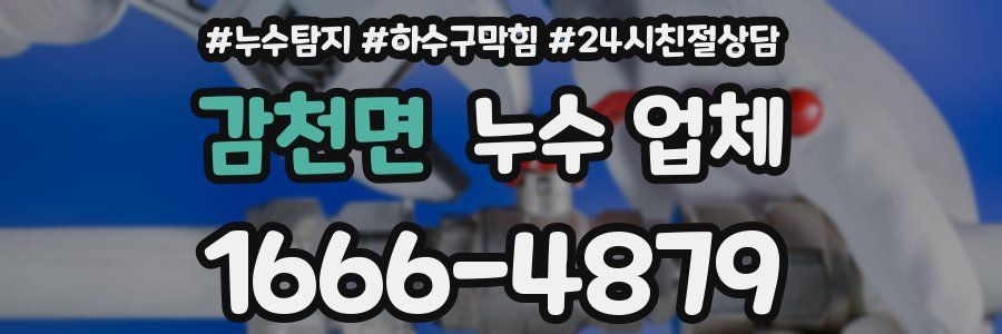 감천면 누수 업체