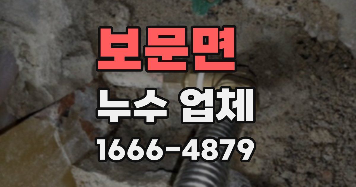 보문면 누수 업체