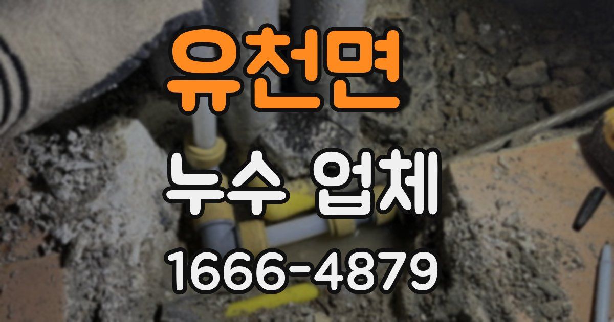 유천면 누수 업체