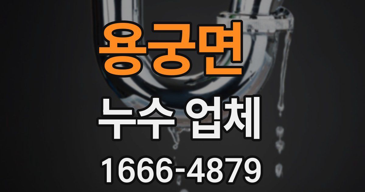 용궁면 누수 업체