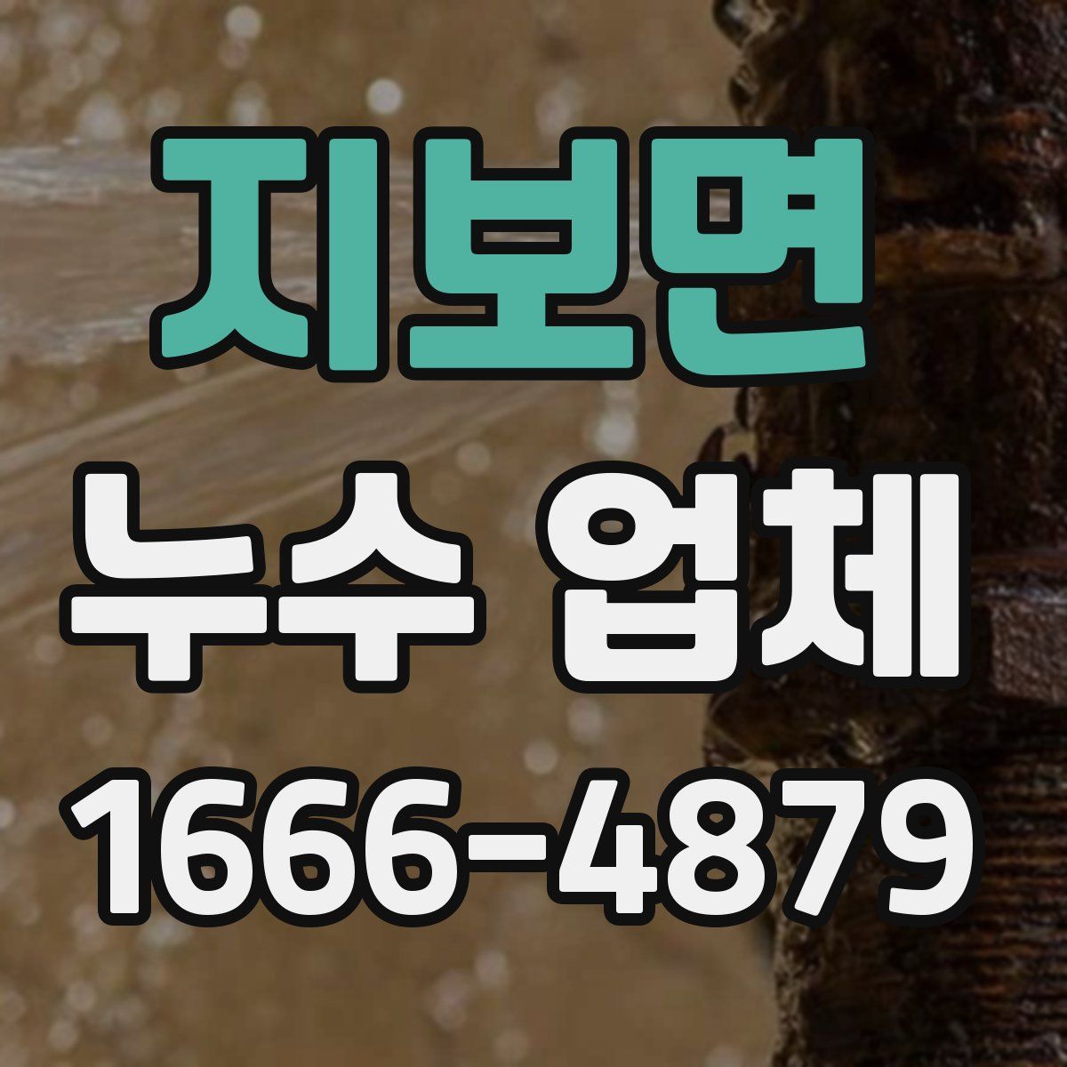 지보면 누수 업체