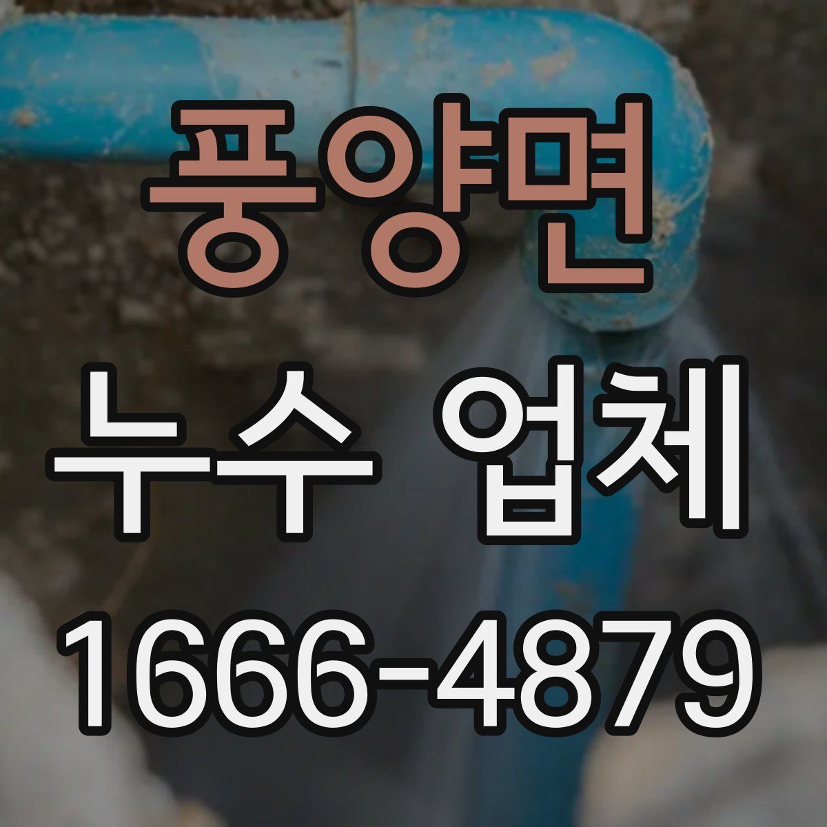 풍양면 누수 업체