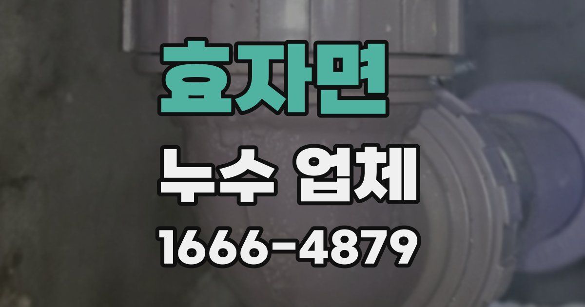 효자면 누수 업체