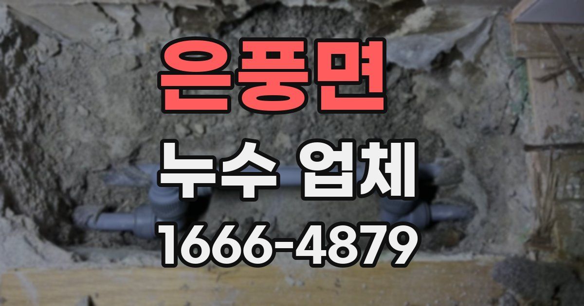 은풍면 누수 업체