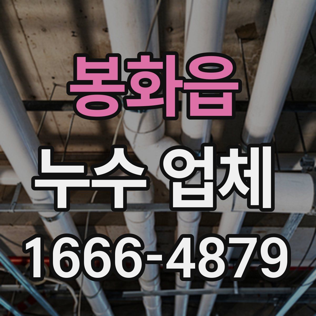 봉화읍 누수 업체