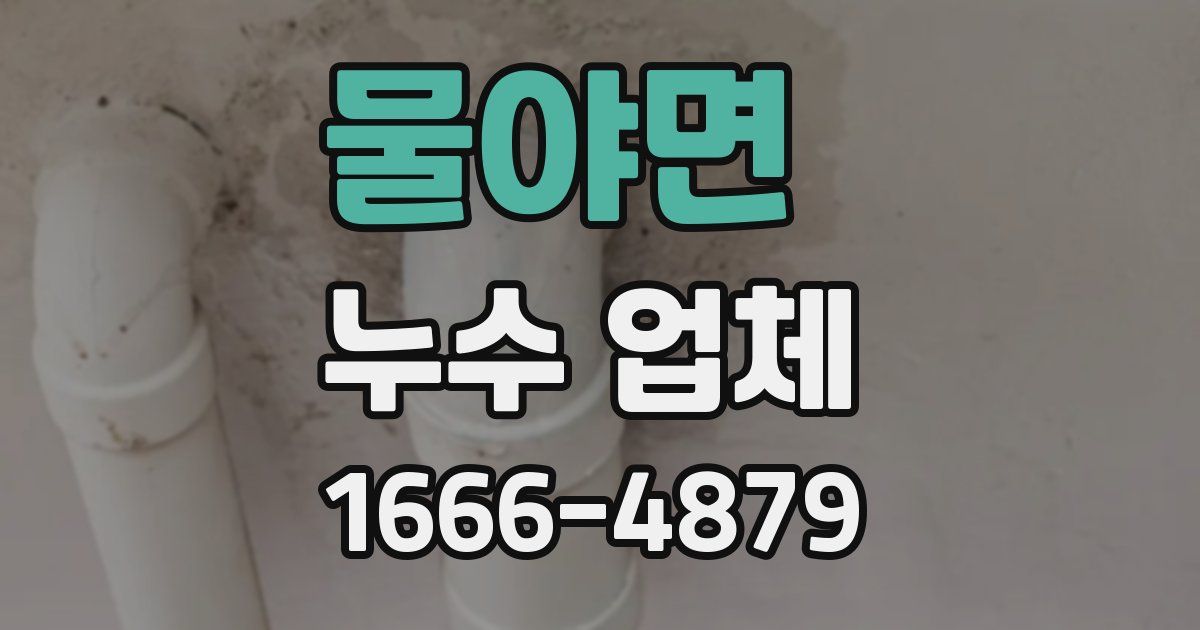 물야면 누수 업체