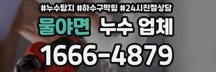 물야면 누수 업체