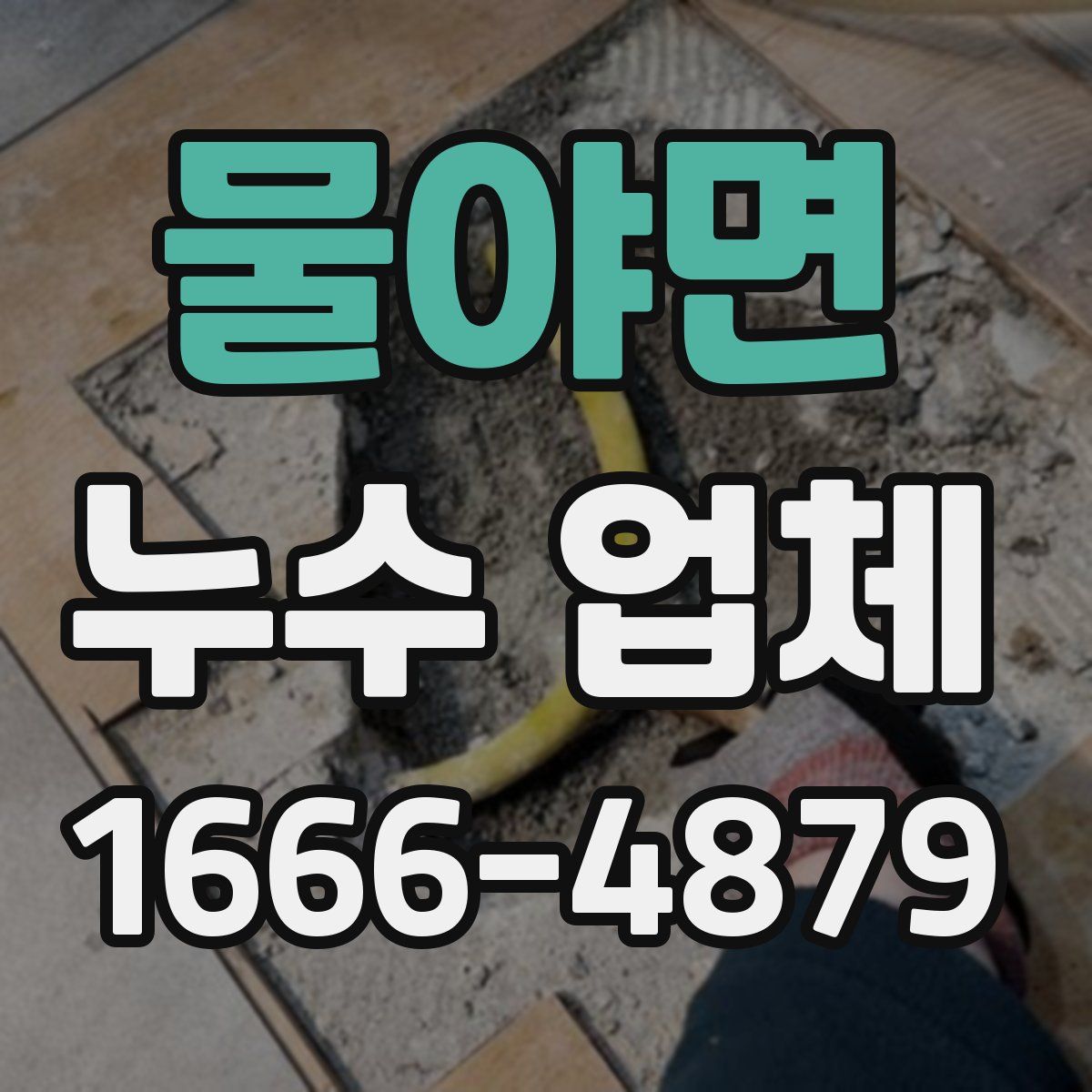 물야면 누수 업체