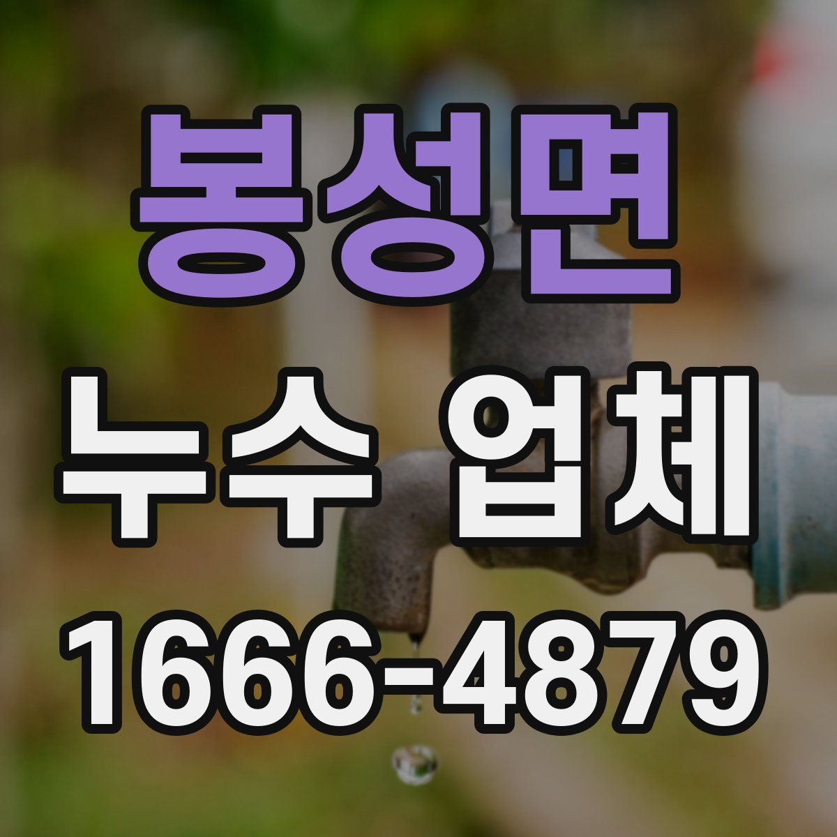 봉성면 누수 업체