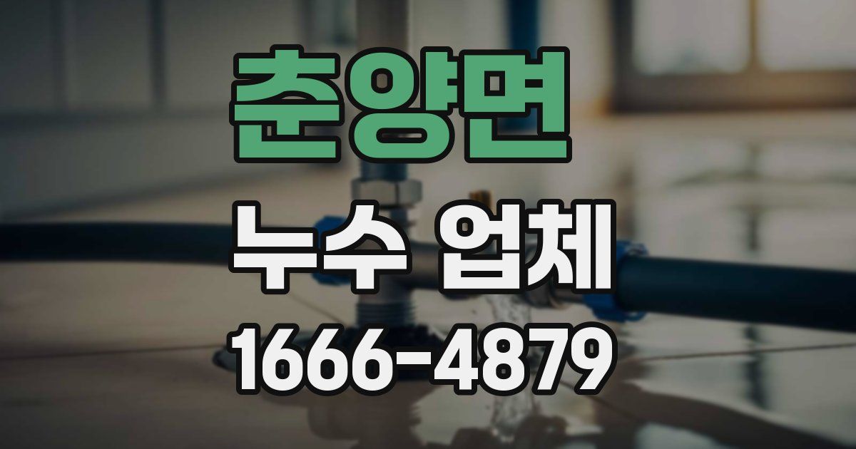 춘양면 누수 업체