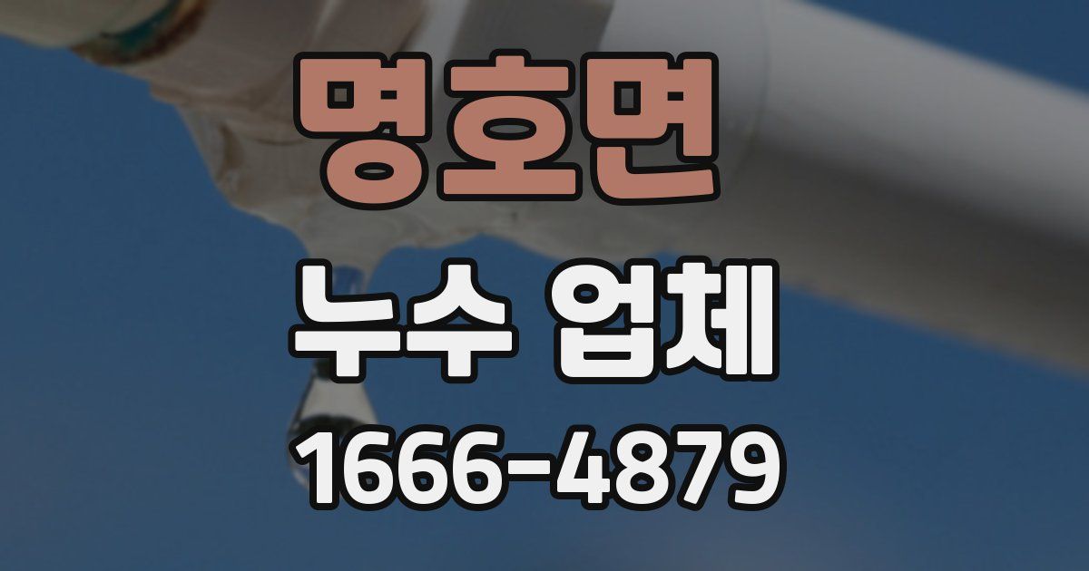 명호면 누수 업체