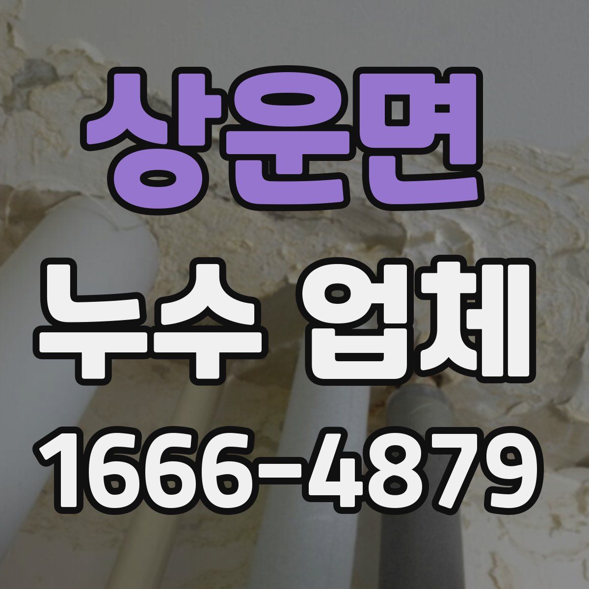 상운면 누수 업체