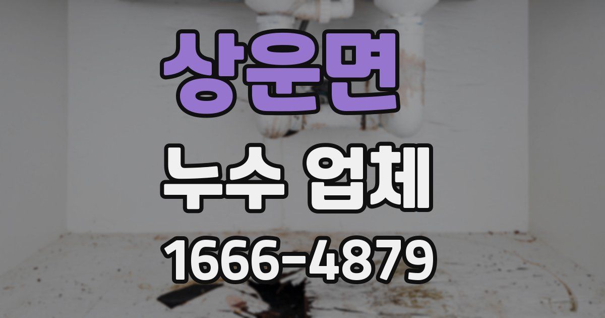 상운면 누수 업체