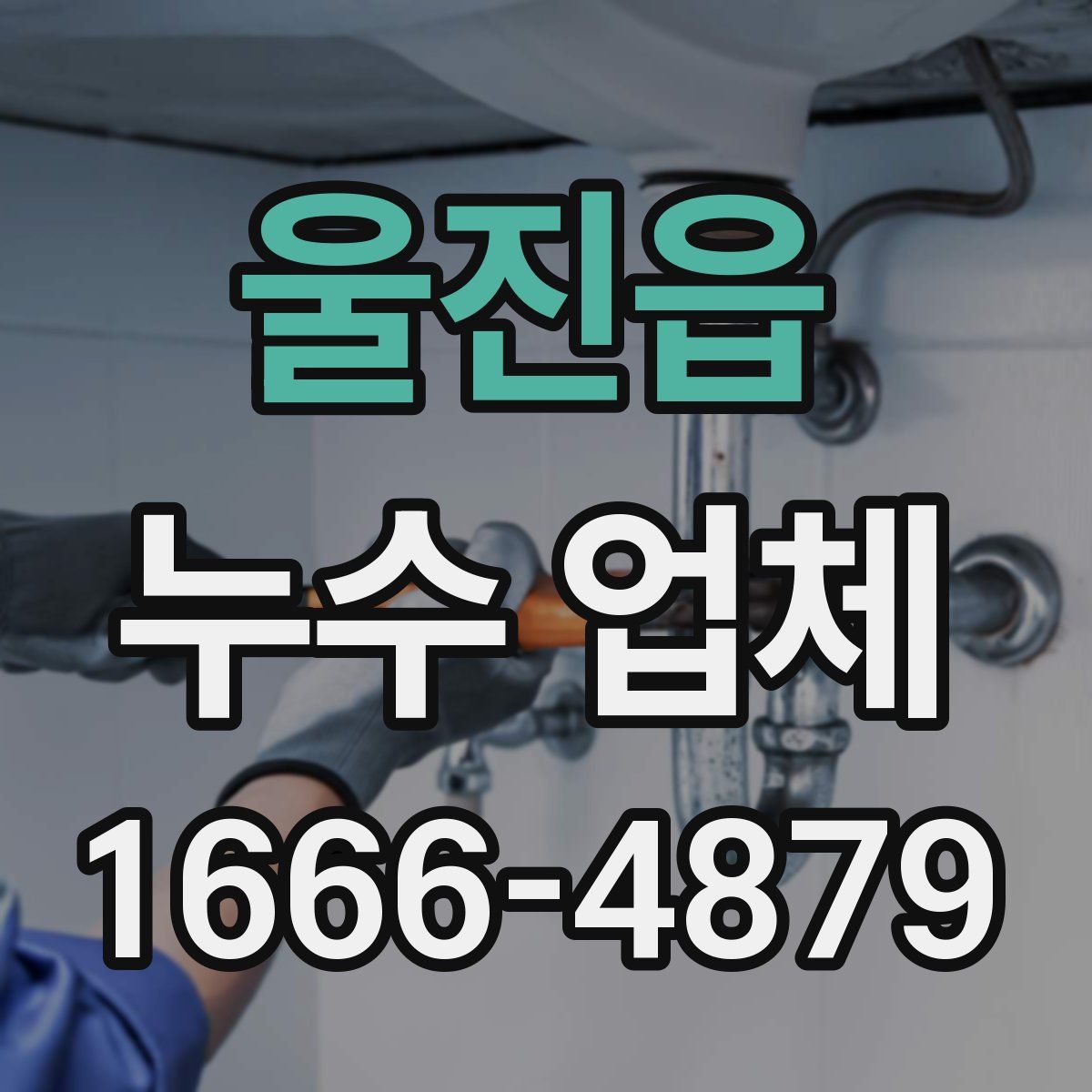 울진읍 누수 업체