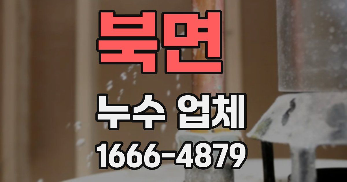 북면 누수 업체
