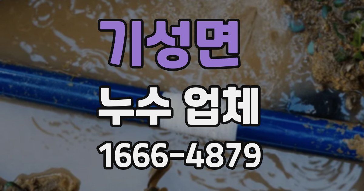 기성면 누수 업체