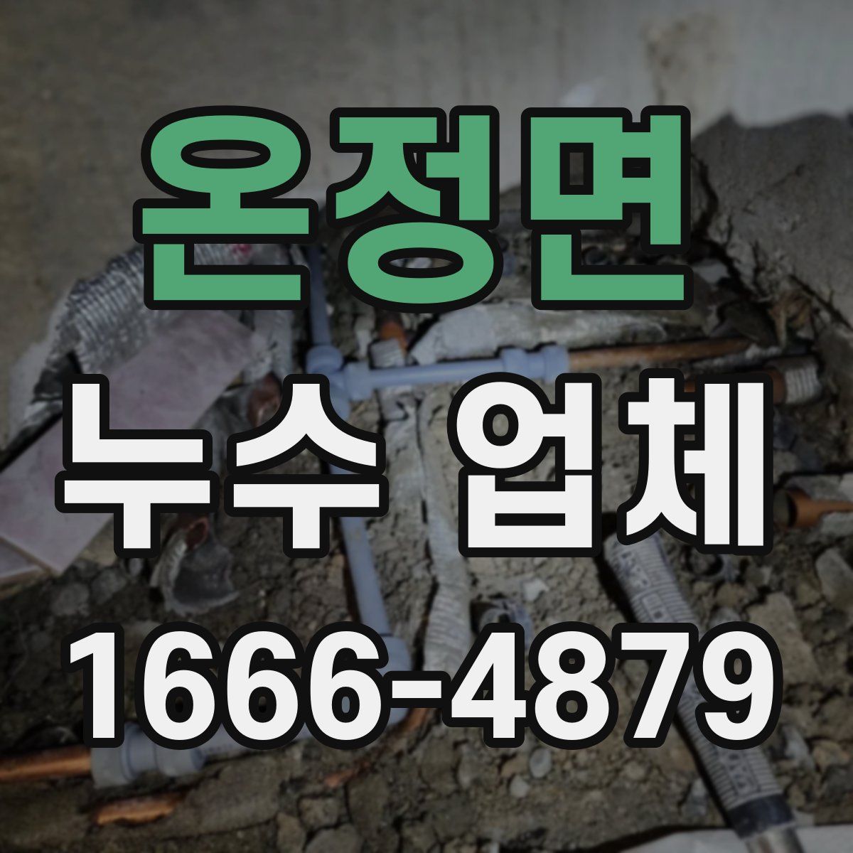 온정면 누수 업체