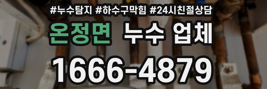 온정면 누수 업체
