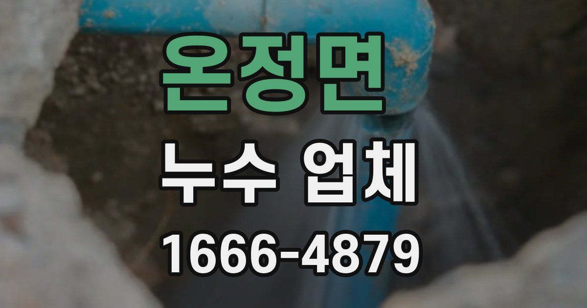 온정면 누수 업체