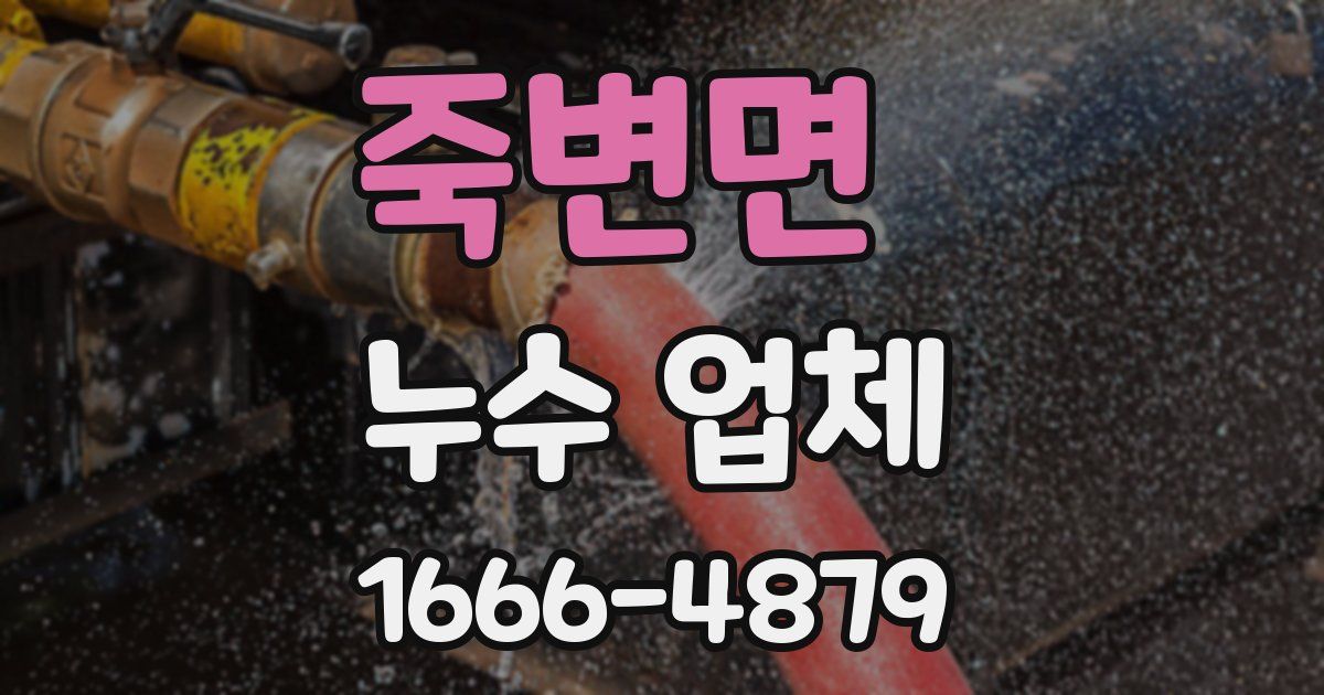 죽변면 누수 업체