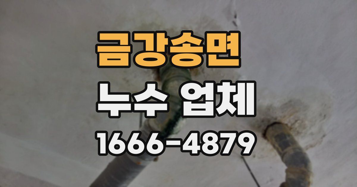 금강송면 누수 업체
