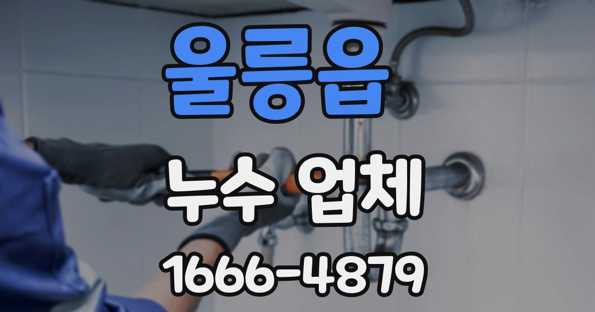울릉읍 누수 업체