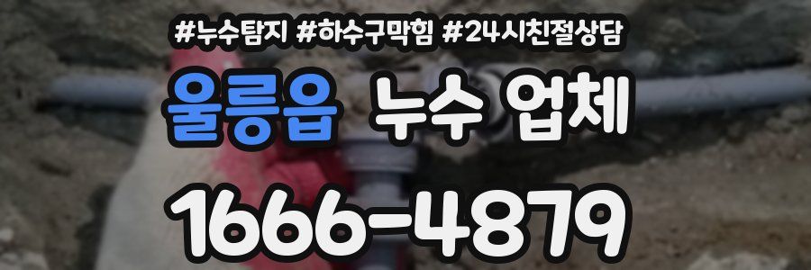 울릉읍 누수 업체