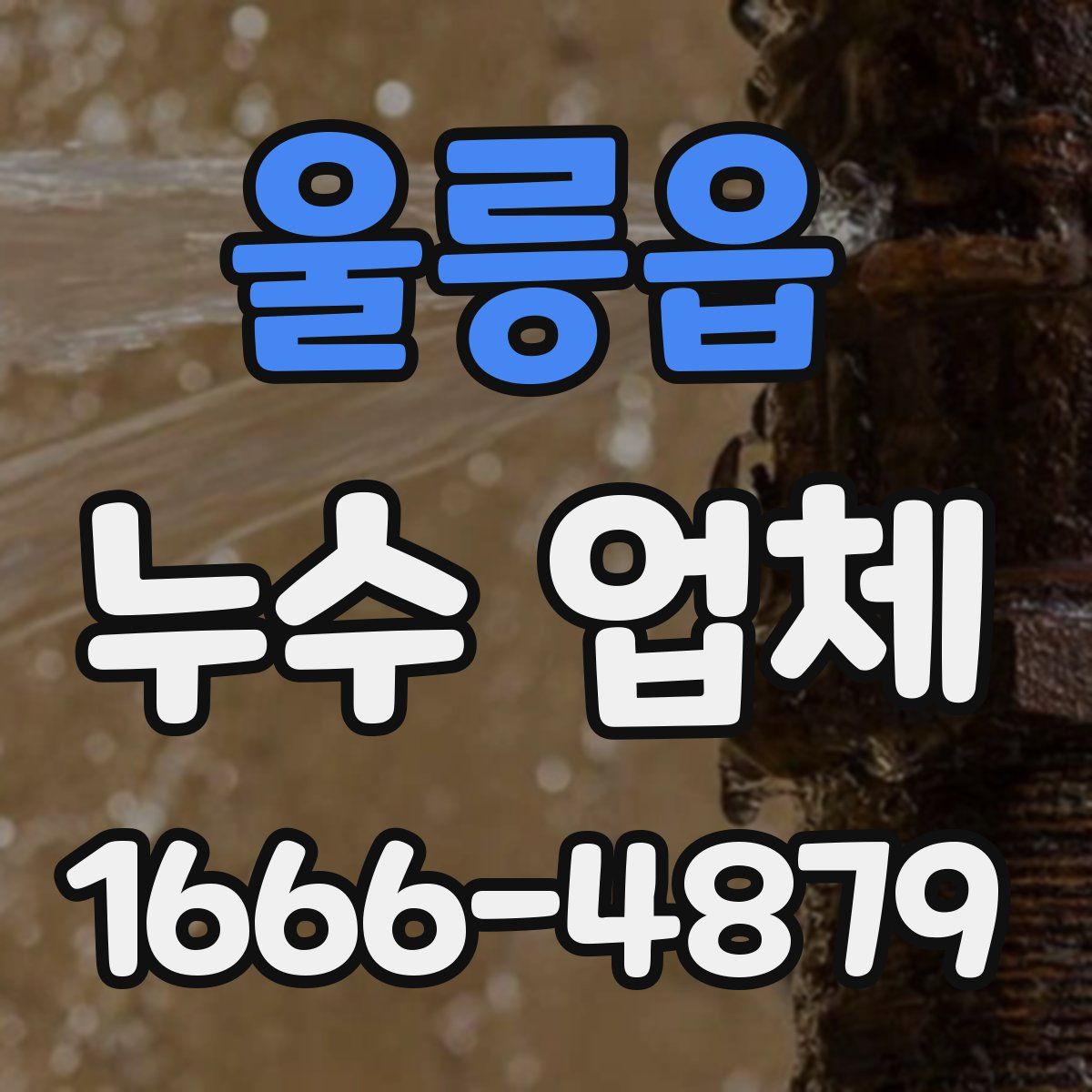울릉읍 누수 업체