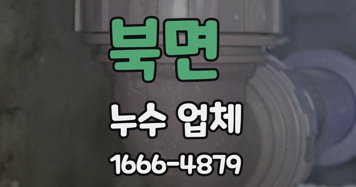 북면 누수 업체