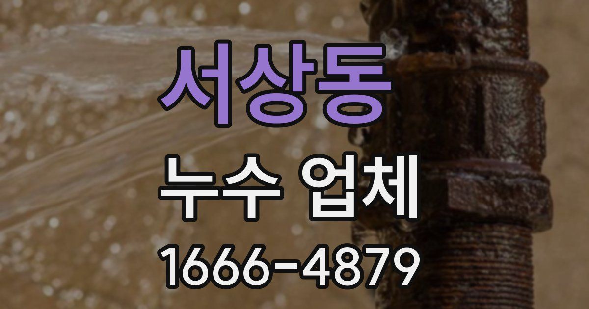 서상동 누수 업체