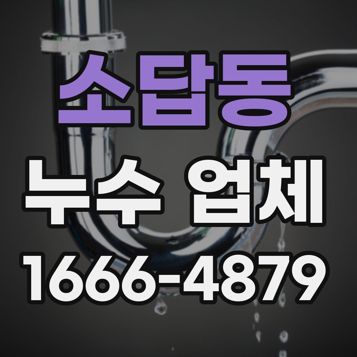 소답동 누수 업체
