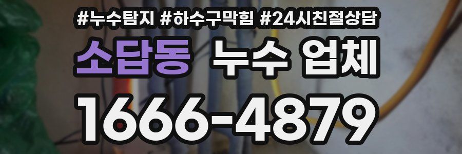 소답동 누수 업체
