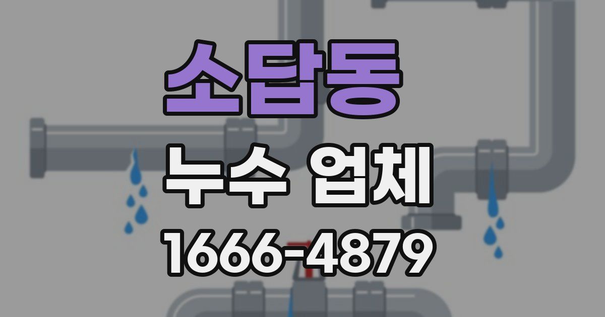 소답동 누수 업체