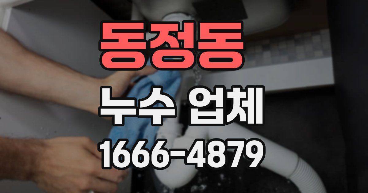 동정동 누수 업체