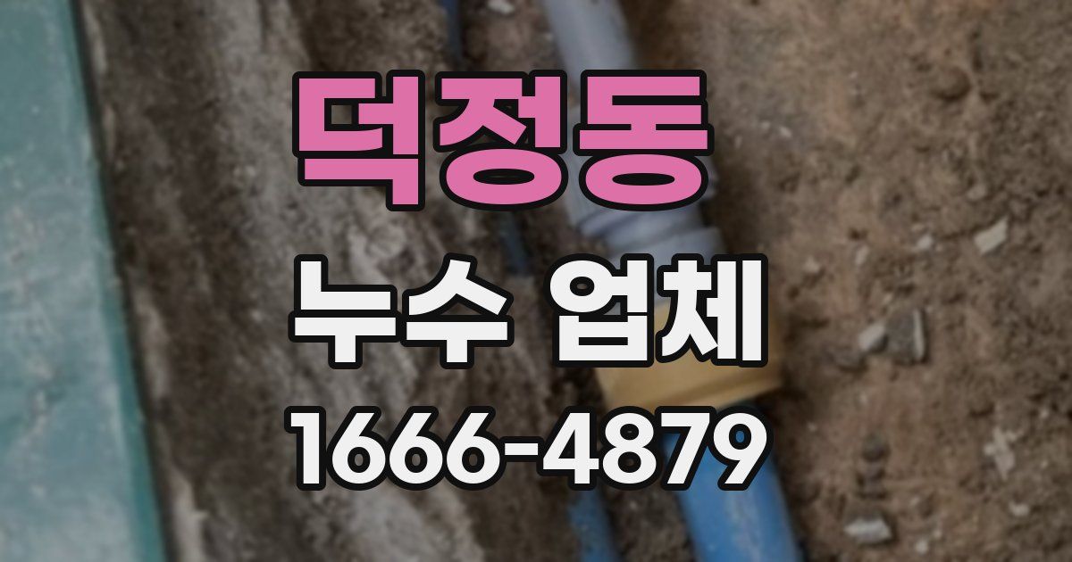 덕정동 누수 업체