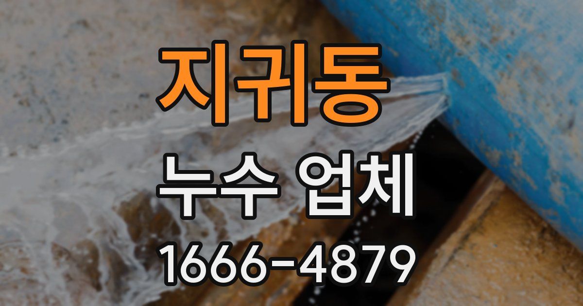 지귀동 누수 업체