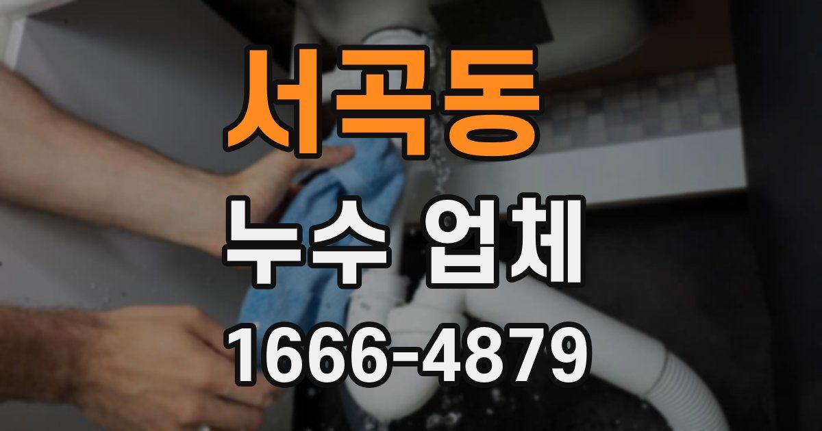 서곡동 누수 업체