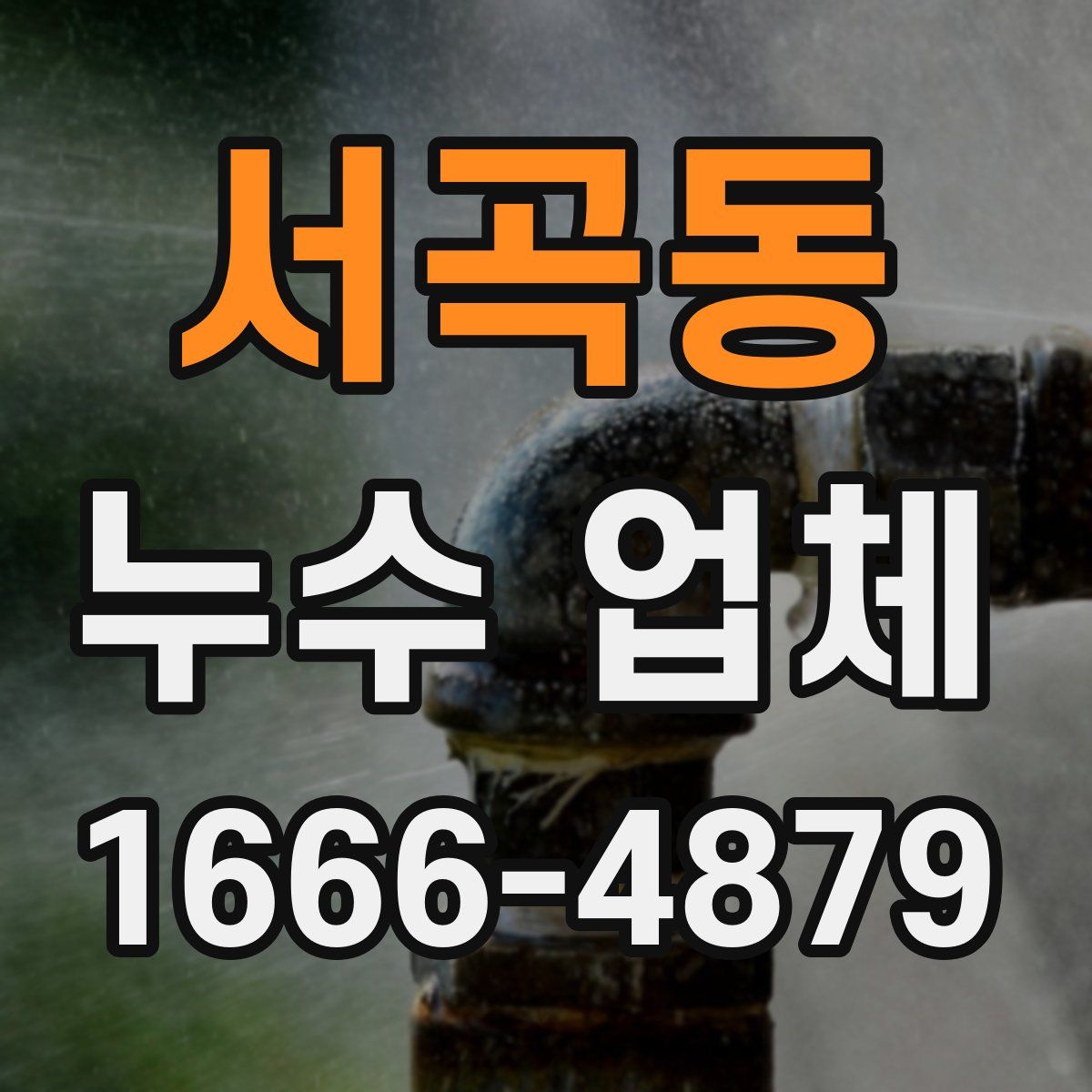 서곡동 누수 업체